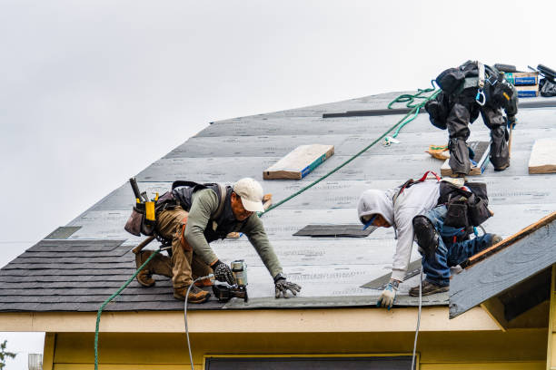 Professional Gutter Installation technician working in Pleasant Hill, TX